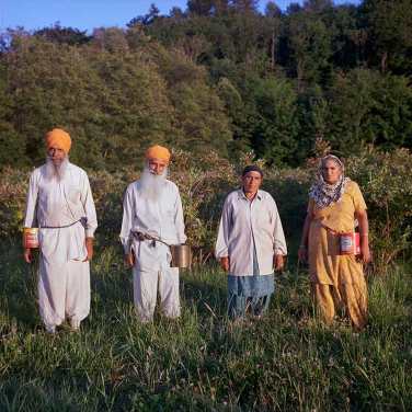 Berry Pickers, Sidhu Farms, Puyallup. Left to right: Mr. Ghuman, Sharigit, Mrs. Ghuman, Amarjit Kaur